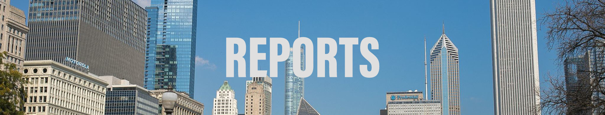 Reports Page